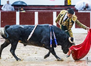 NOVILLADA PASADA POR AGUA EN LA SANTAMARIA