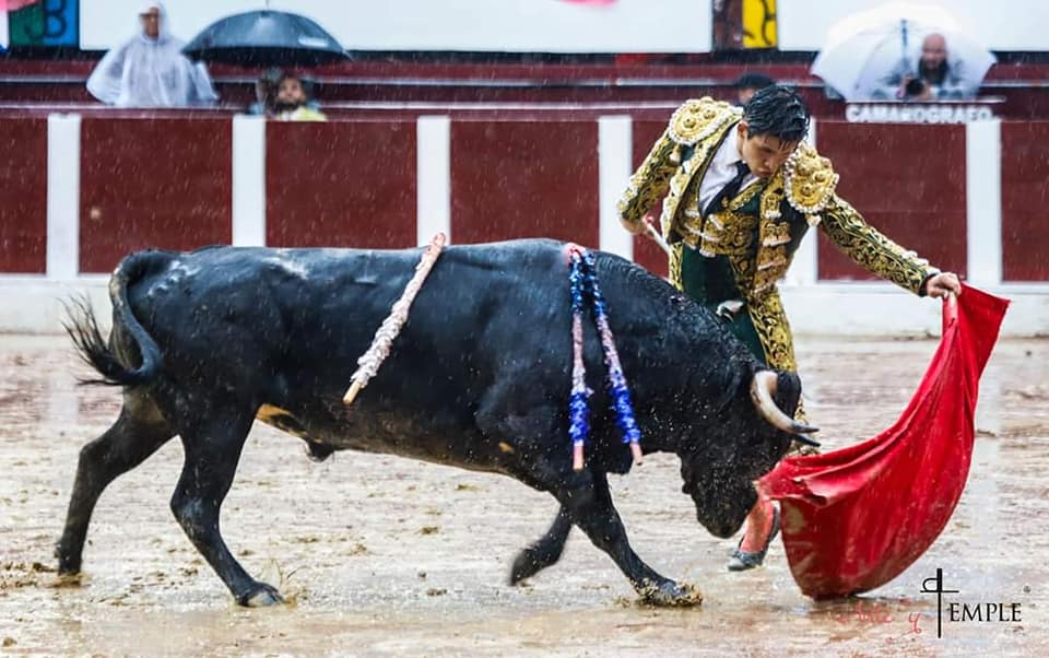 NOVILLADA PASADA POR AGUA EN LA SANTAMARIA