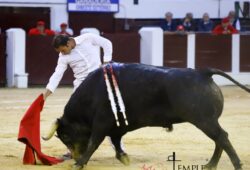 LA HONRADEZ DE UN TORERO