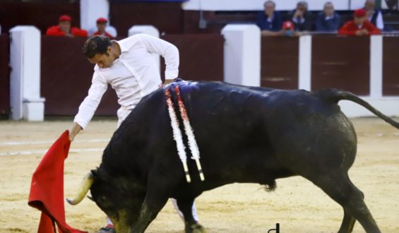 LA HONRADEZ DE UN TORERO