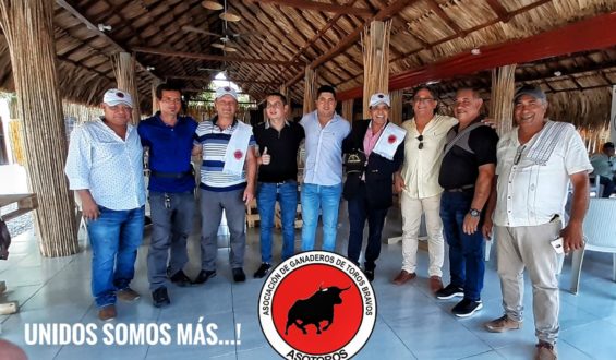 ASOCIACIONES AFINES…UNIDAS