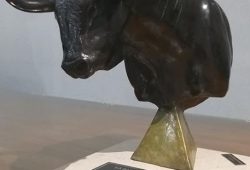 “TALENTOSO” PREMIADO COMO EL MEJOR TORO POR LA BARRA 5