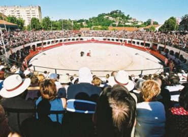 ALES… OTRA FERIA APLAZADA