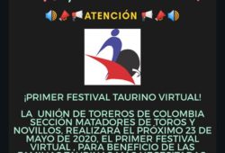 UNDETOC… FESTIVAL VIRTUAL BENEFICO