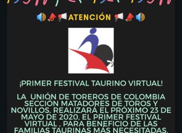 UNDETOC… FESTIVAL VIRTUAL BENEFICO