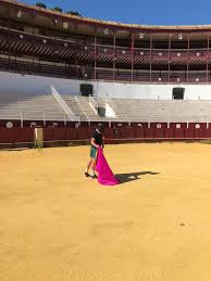 TOROS EN MALAGA