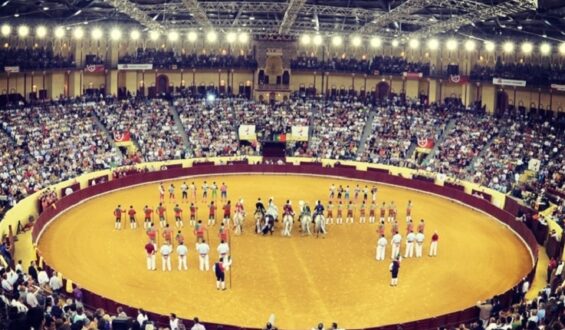 TOROS EN PORTUGAL A PARTIR DE JULIO