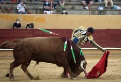 «AVILA» PRIMERA CORRIDA POS-PANDEMIA