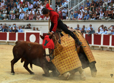 PERSPECTIVA TAURINA