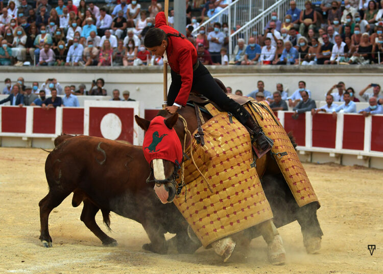 PERSPECTIVA TAURINA