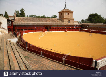 CORRIDA EN VALDEPEÑAS