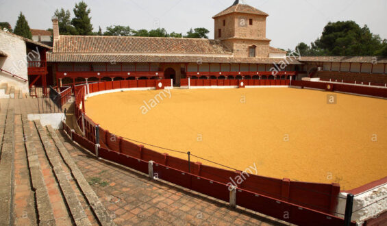 CORRIDA EN VALDEPEÑAS