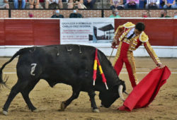 UREÑA MAS QUE LA OREJA