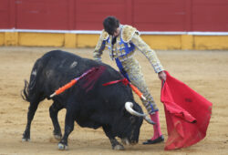 E. PONCE Y C. DIAZ CANTE DEL BUENO