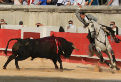 TRIUNFO DE LEA VICENS