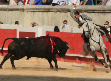 TRIUNFO DE LEA VICENS