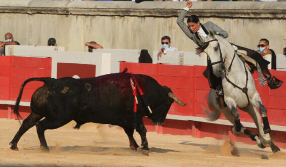 TRIUNFO DE LEA VICENS