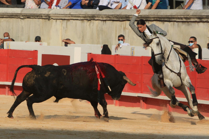 TRIUNFO DE LEA VICENS