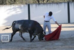 L. BOLIVAR Y A. LORENZO A PLACER