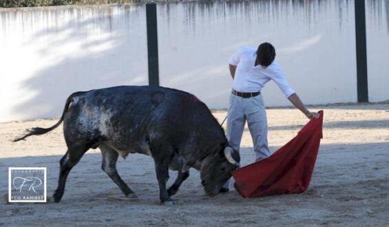 L. BOLIVAR Y A. LORENZO A PLACER