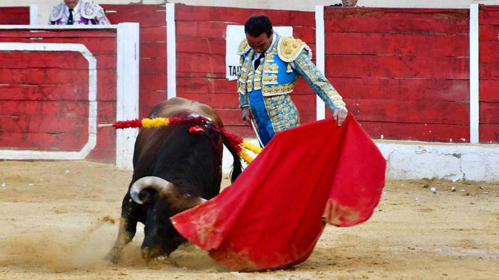 OREJAS PARA LA TERNA EN BAZA