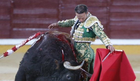 SEIS OREJAS SE REPARTEN  FERRERA Y JUAN DE CASTILLA EN LA TERCERA DE LA FERIA DE MANIZALES. EMILIO DE JUSTO CON LOTE MENOS POTABLE.