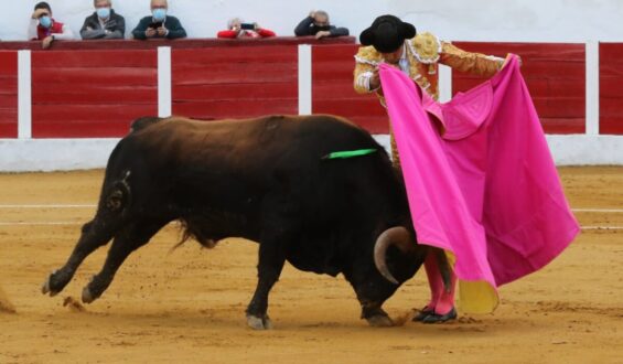 PERERA Y GARRIDO EN TABLAS