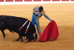 UN GRAN FINITO DE CORDOBA CORTA CUATRO OREJAS Y UN RABO EN ANTEQUERA