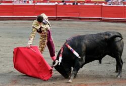 FINALIZO LA XXI EDICION DE TOROS Y CIUDAD