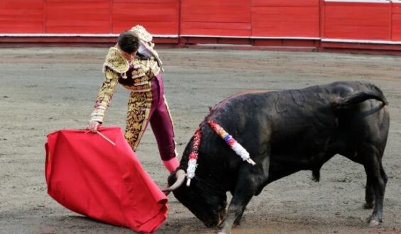 FINALIZO LA XXI EDICION DE TOROS Y CIUDAD