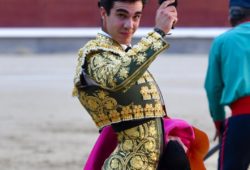 UN NOVILLERO CON INFULAS DE MATADOR TRIUNFA EN TOLEDO