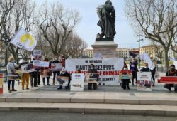 AUTORIDADES DE BEZIERS DEFIENDEN LOS TOROS