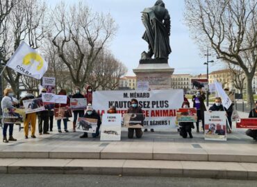 AUTORIDADES DE BEZIERS DEFIENDEN LOS TOROS