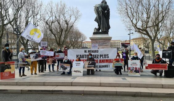 AUTORIDADES DE BEZIERS DEFIENDEN LOS TOROS