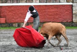 LLUVIOSO TENTADERO SE REALIZÓ EN LAS VENTAS DEL ESPIRITU SANTO