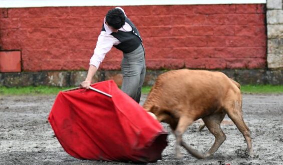 LLUVIOSO TENTADERO SE REALIZÓ EN LAS VENTAS DEL ESPIRITU SANTO