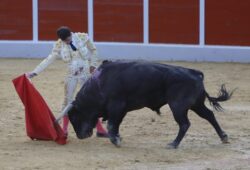 CUMBRE DE AGUADO EN UBRIQUE