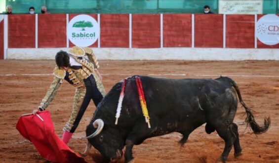 LA MADUREZ DE ESAÚ FERNANDEZ CON TRES OREJAS EN OSSA DE MONTIEL