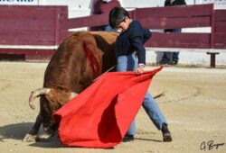 MARCO PEREZ, UN DIAMANTE CASI TALLADO