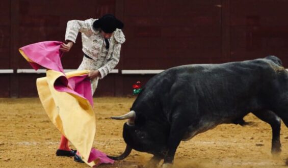 “CINQUEÑOS” EN AÑOVER DE TAJO