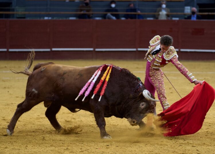 GRAN TARDE DE GINES MARIN EN LEGANÉS