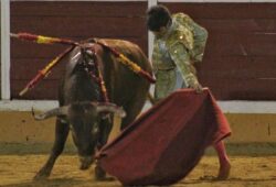 LEANDRO GUTIERREZ EN NOVILLADAS DEL CIRUITO MADRILEÑO