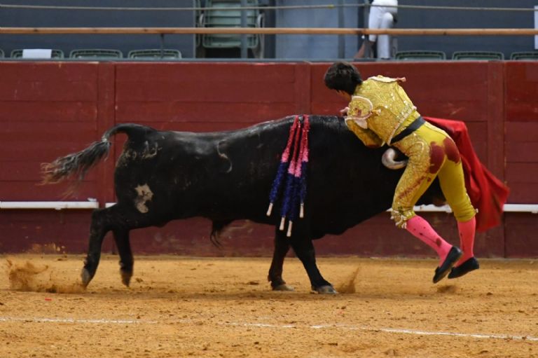 HERIDO DE GRAVEDAD “MANUEL PERERA”