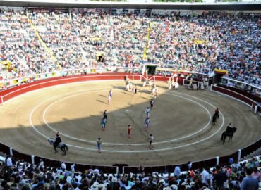 LA FERIA DE CALI 2021 CONTRA VIENTO Y MAREA!!!