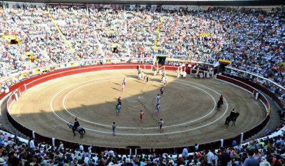 LA FERIA DE CALI 2021 CONTRA VIENTO Y MAREA!!!