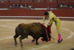 EL REVULSIVO TORERO SE LLAMA EMILIO DE JUSTO