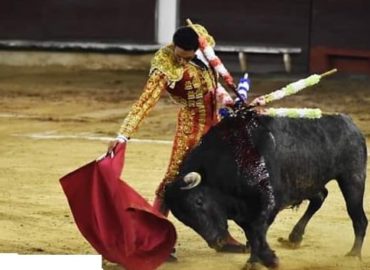 UNICA OREJA DE LA FUNCION PARA “DINASTÍA”