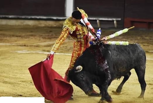 UNICA OREJA DE LA FUNCION PARA “DINASTÍA”