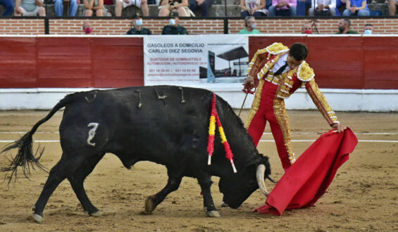 PERERA Y UREÑA  DE A OREJA