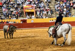 LA TERNA DE CABALLEROS DE A OREJA